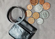 Magnetic Coins with purse